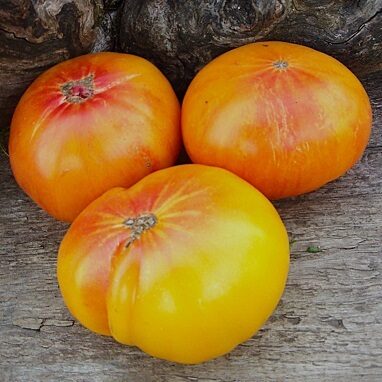 Медовый привет радуги